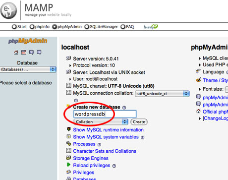 Create WordPress database