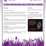 The Ferns new homepage